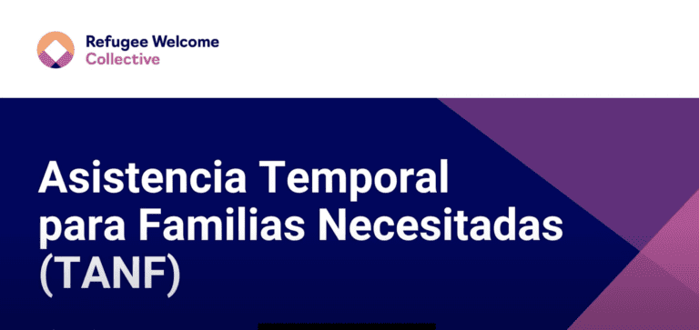 Temporary Assistance for Needy Families (TANF)